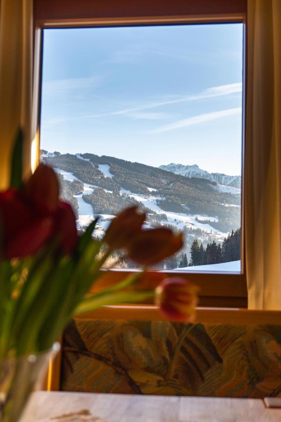 Pension Trillerhof Ramsau am Dachstein Ngoại thất bức ảnh