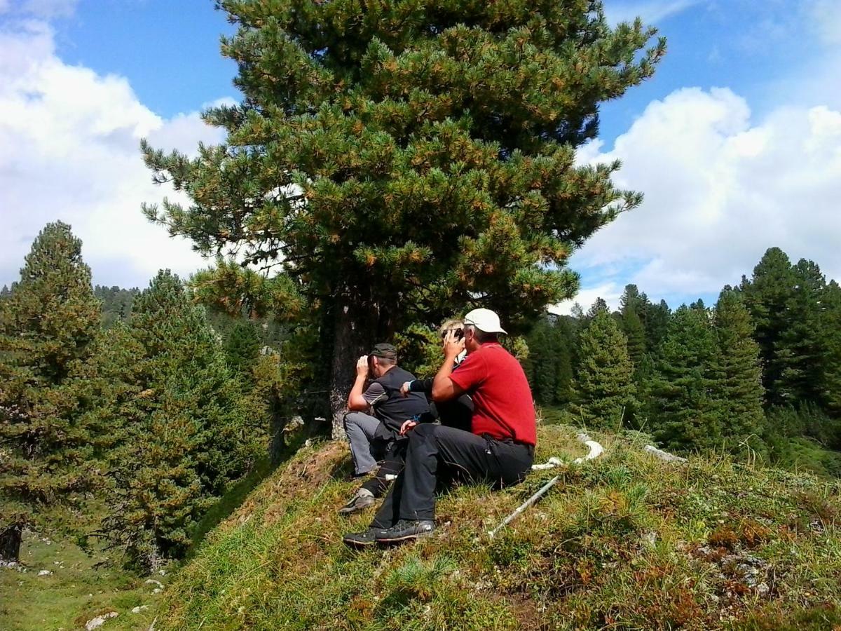 Pension Trillerhof Ramsau am Dachstein Ngoại thất bức ảnh